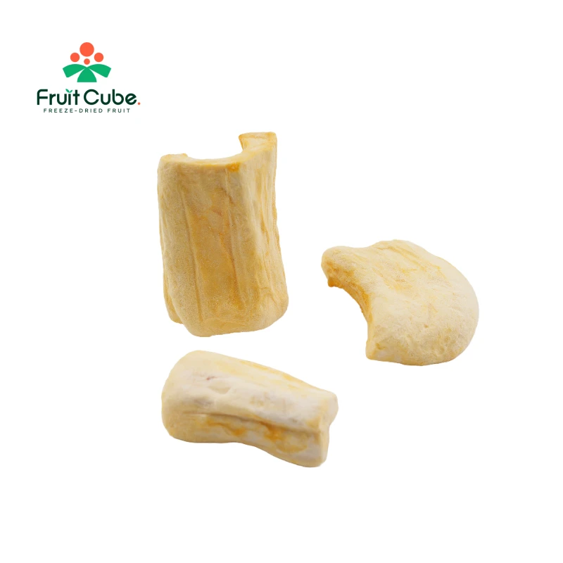 Freeze-Dried Jack Fruit Slices suppliers