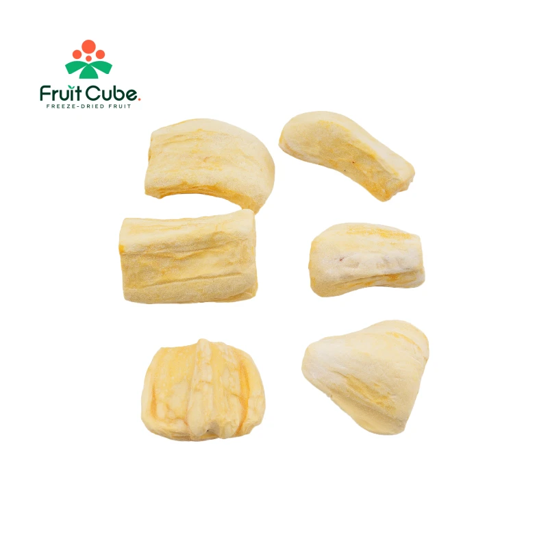 Freeze-Dried Jack Fruit Slices factory
