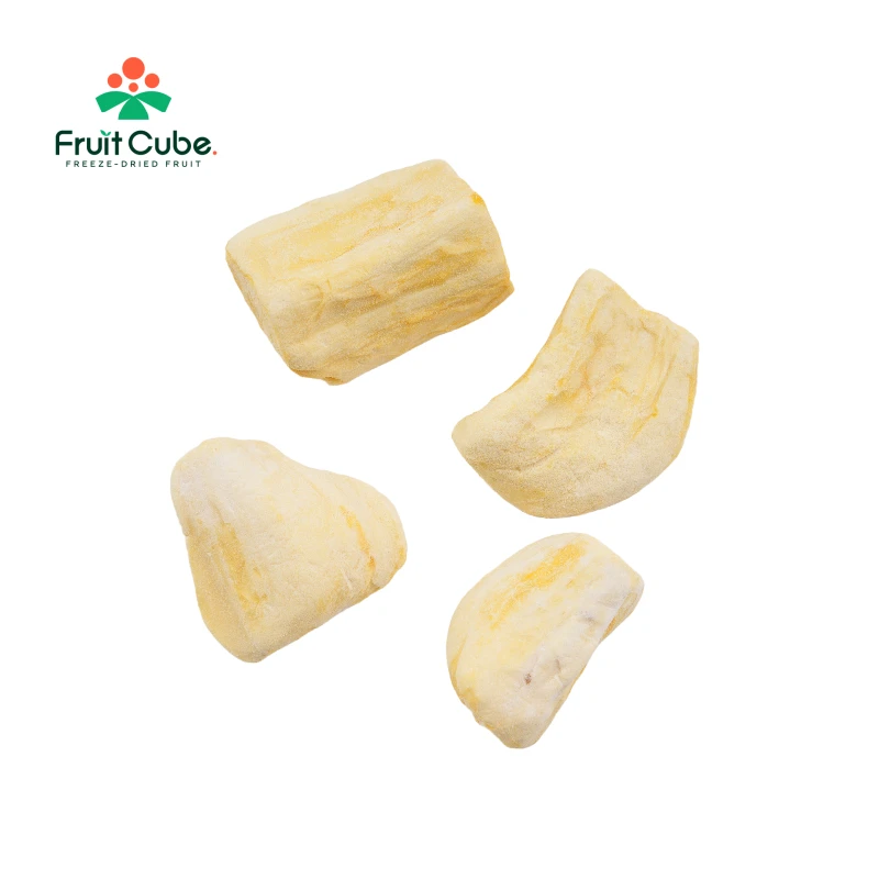 Freeze-Dried Jack Fruit Slices