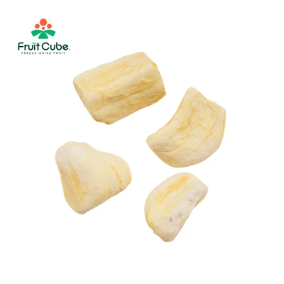 Freeze-Dried Jack Fruit Slices